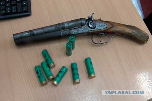 Гламурное кисо: Больше, больше силикона!