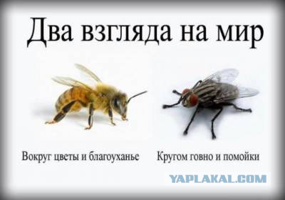Синдром деревенской проститутки