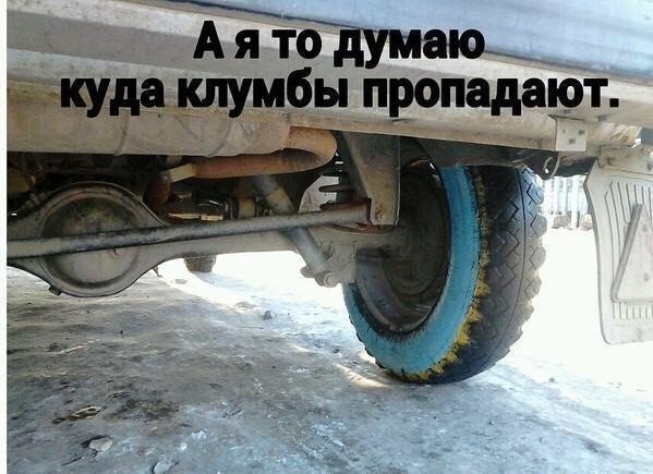 Прикольные картинки и демотиваторы