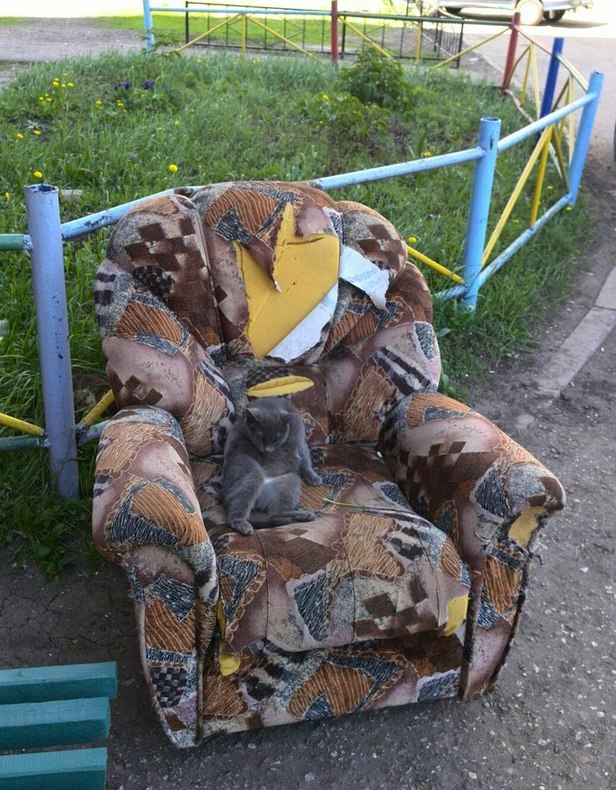 Винегрет
