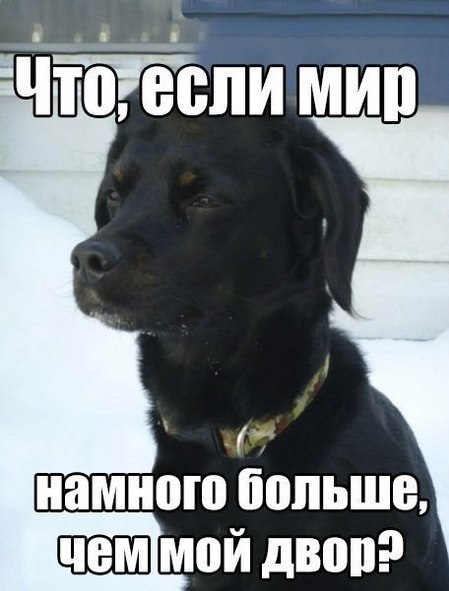 Картинки и демотиваторы