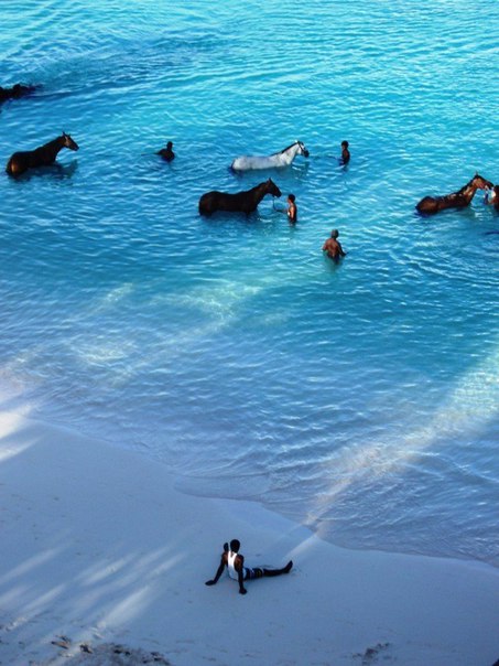 Разные картинки