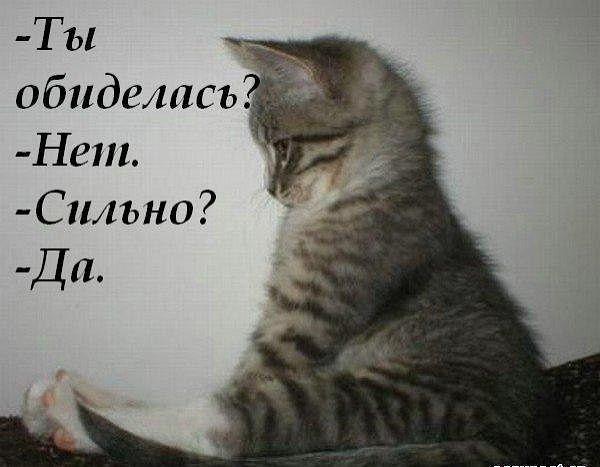 Картинки на утро вторника