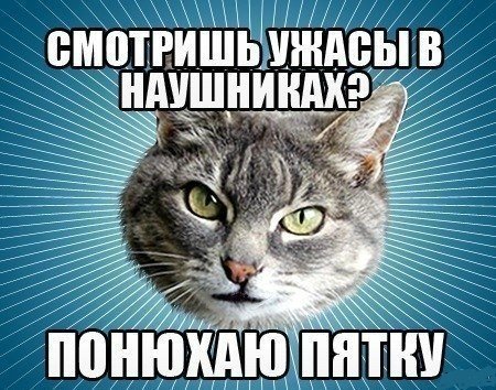 Не смотрите ужасы на ночь... Ибо...