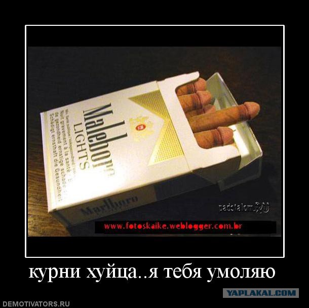 Украинка потребовала уволить педагога московского детсада