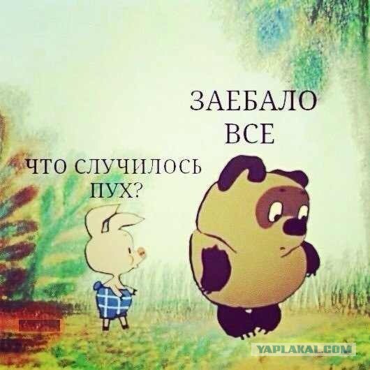 Вы там держитесь, смиритесь, терпите...