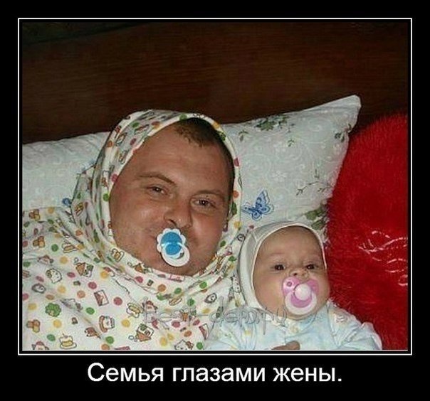 Картинки из сети