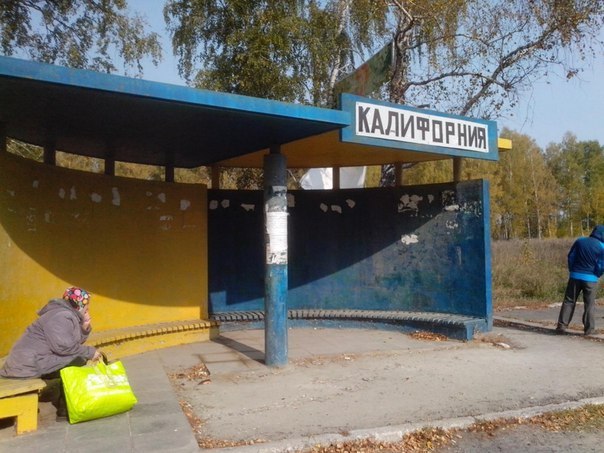 Разные картинки из сети