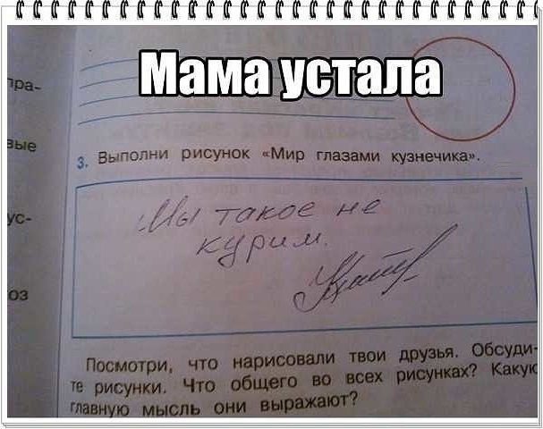 Порция картинок из сети