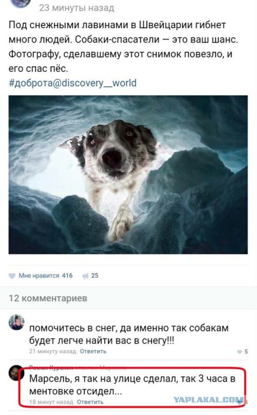Смешные комментарии из социальных сетей 03.11.2016