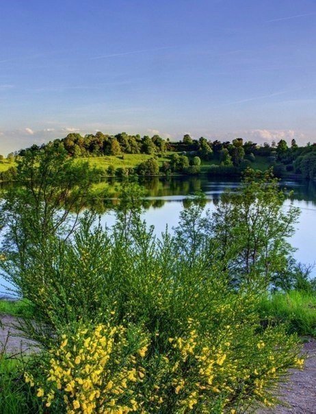 Моменты, запечатлённые на фото и просто позитив 5
