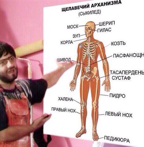 Подборка безудержного веселья