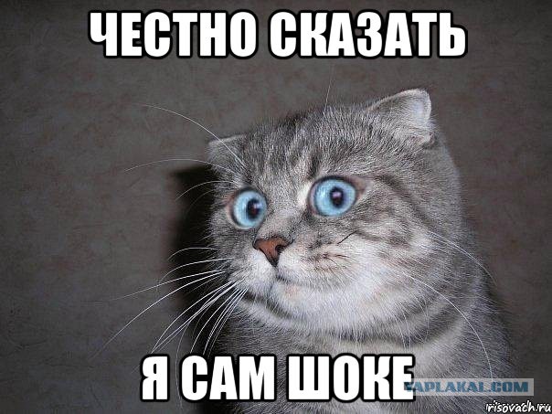 А вот такого индийского кина вы наверное не видели.