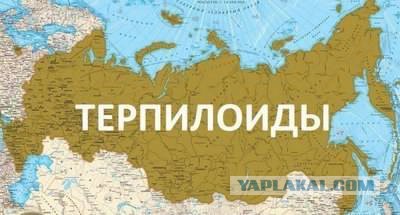 Володин призвал Минфин быстрее одобрить налог на онлайн-покупки