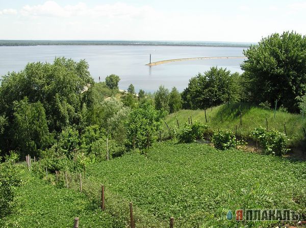 Киев