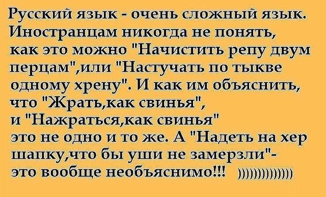 Везу тёщу на дачу. Она спереди, сзади едет сын 10-ти лет...