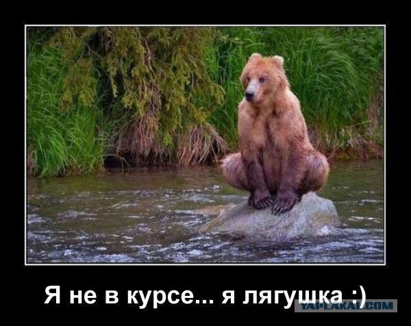 19 доказательств того, что нет ничего страшнее природы
