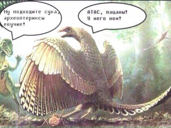 Нестандартный юмор