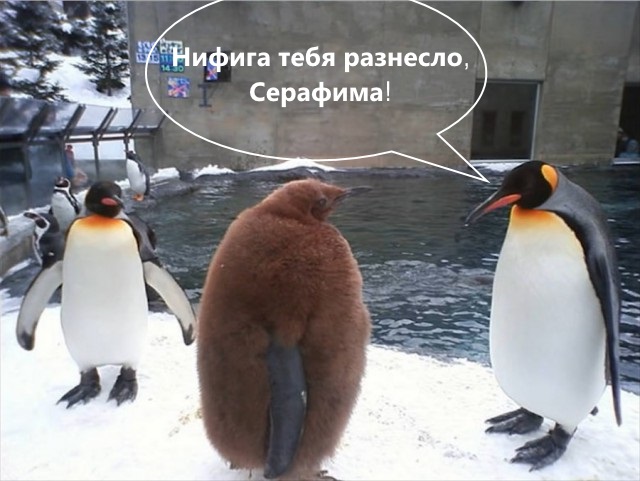 Подборка интересных и веселых картинок