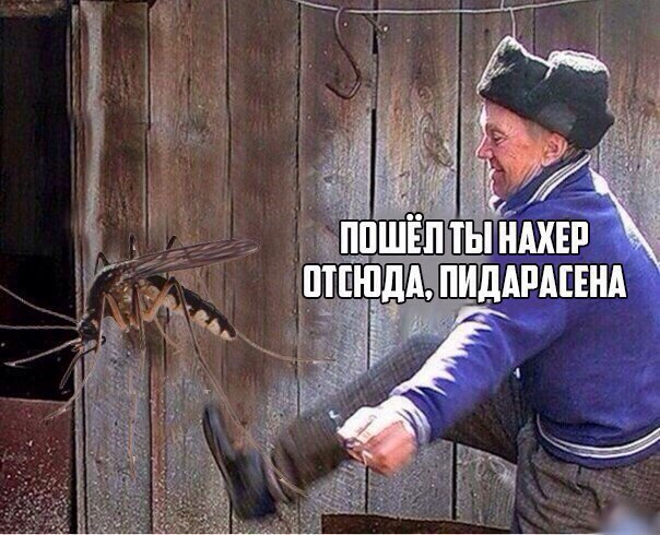 Смешные комментарии из социальных сетей 08.06.2018