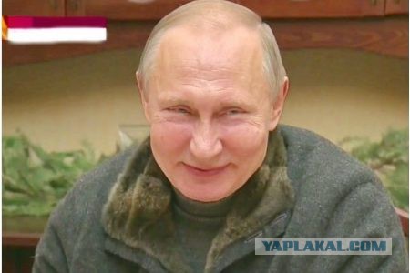 Как Путин реагировал на голы во время матча-открытия ЧМ. Фоторепортаж от гола к голу