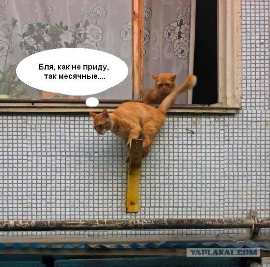 Не пустила