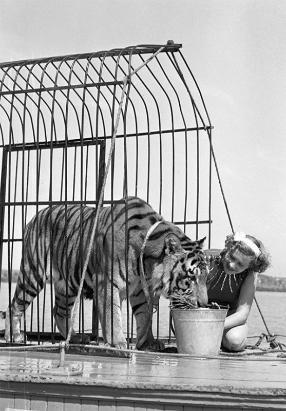 История в фотографиях
