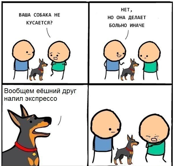 Желтые жилеты (Франция, Бельгия)