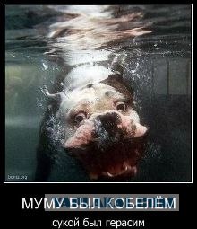 Подводные собакены