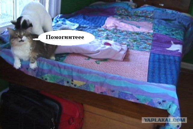 Только чистую постель застелил........