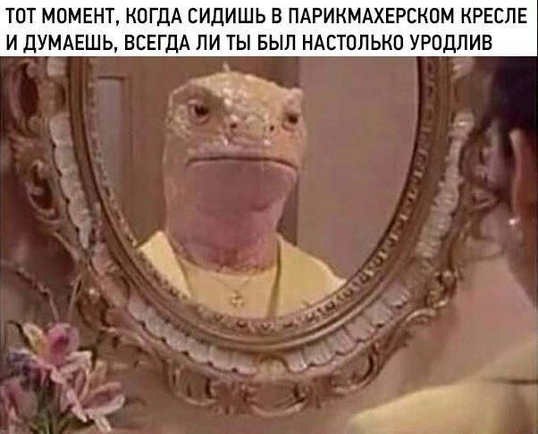 Куда катится жизнь