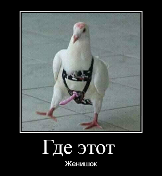 Страшное похмелье свадебного фотографа