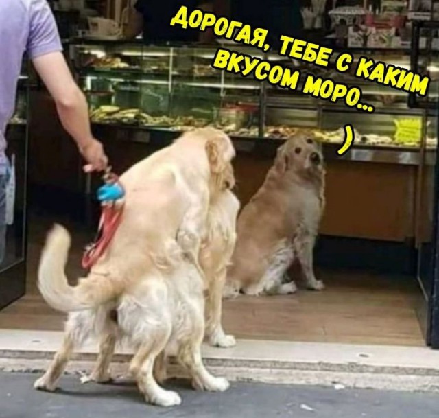 Порно модель Stacy Starando: Не называйте меня шлюхой!