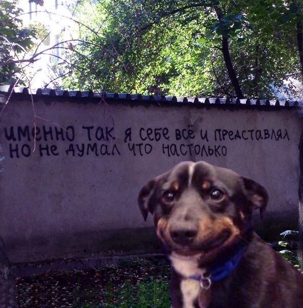 Так себе картинки 20.07.20