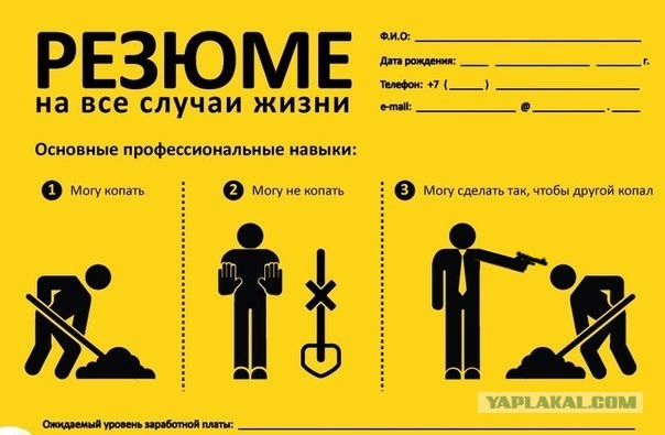 Профессиональное резюме