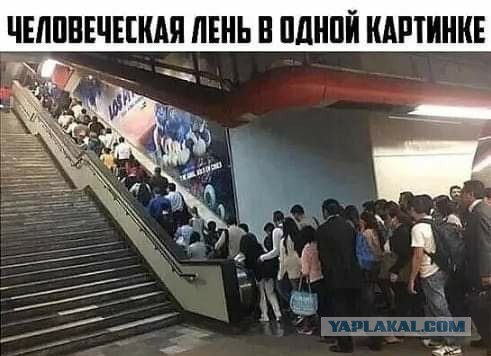 Юмор в картинках 15.08.20