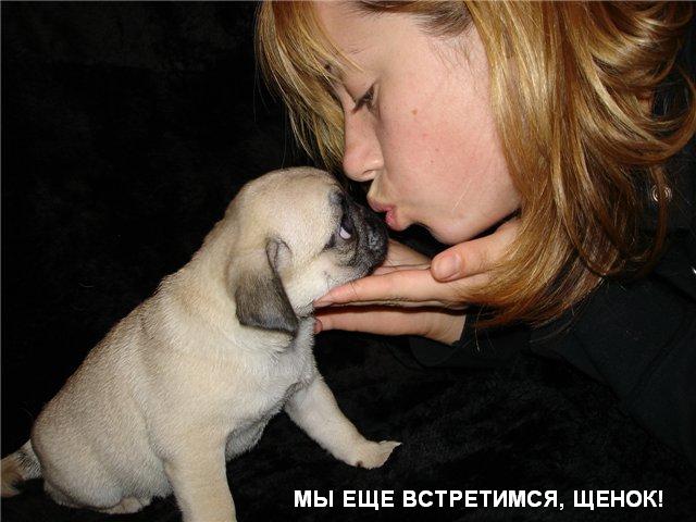Фотожаба: А ты?