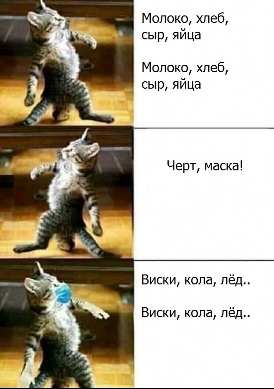 11 мемасиков про животных и отношения