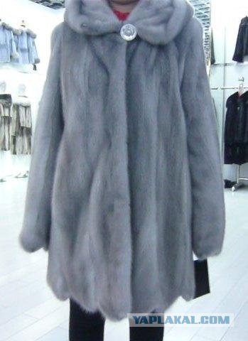 Фотожабы на котовертолёт