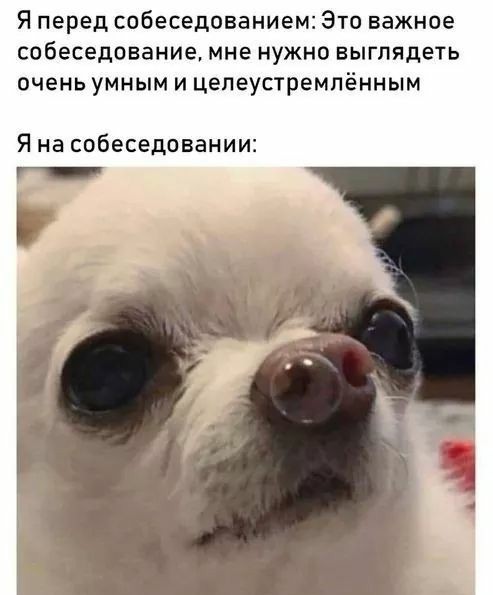 Бредзона 07.02.21