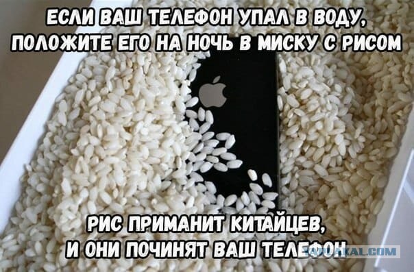 Работники техподдержки делятся наихудшими случаями, которые они видели во время работы.