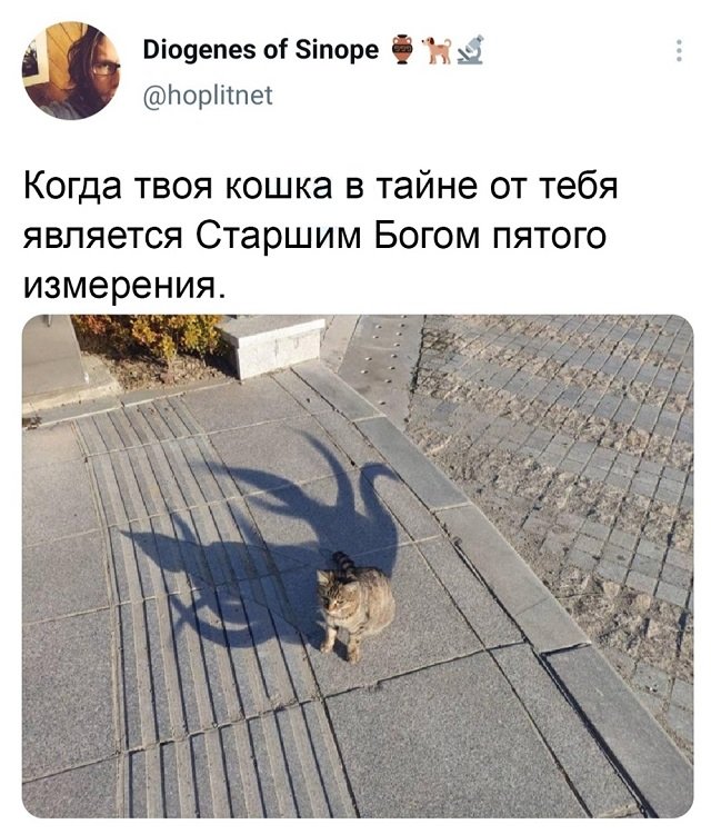 Алкопост 27.03.21