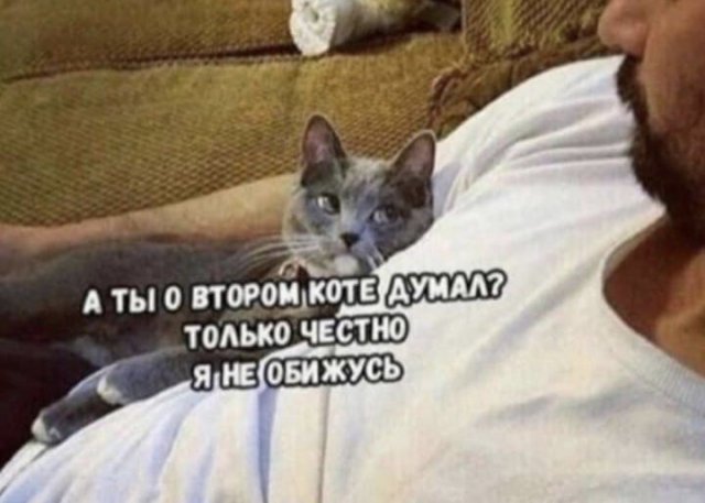 Картинки с надписями и всякие жизненные фразы