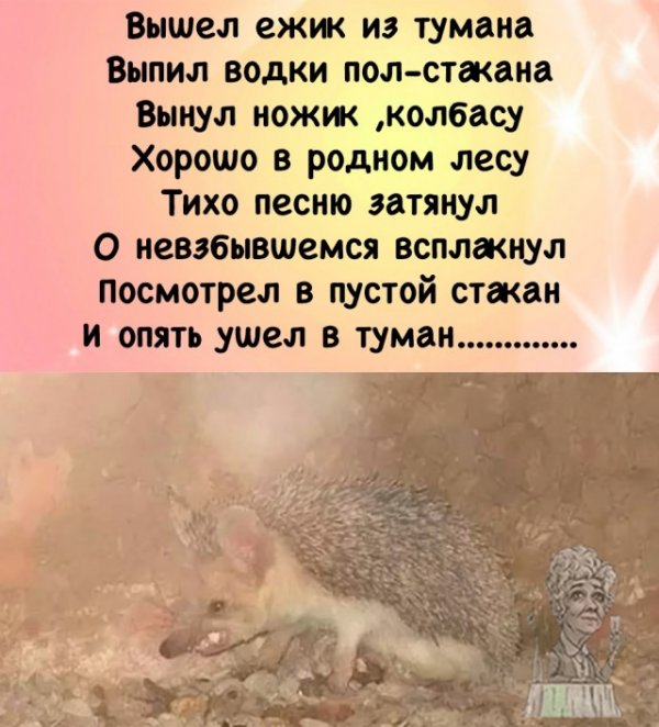 Прикольные и просто красивые картинки 29.06.2021