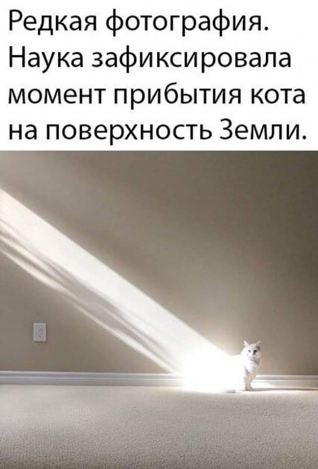 Картинки и мемы для настроения 05.08.2021