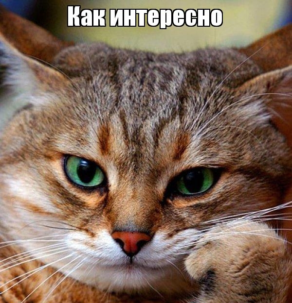 Пандемия. Коронавирус. Россия и мир. Последняя информация. Часть 24