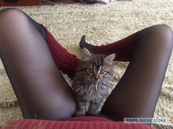 Ну, понеслась!