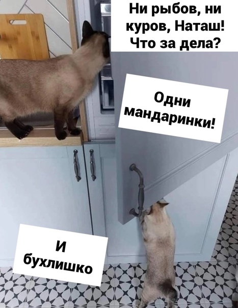 Картинки и мемы для настроения