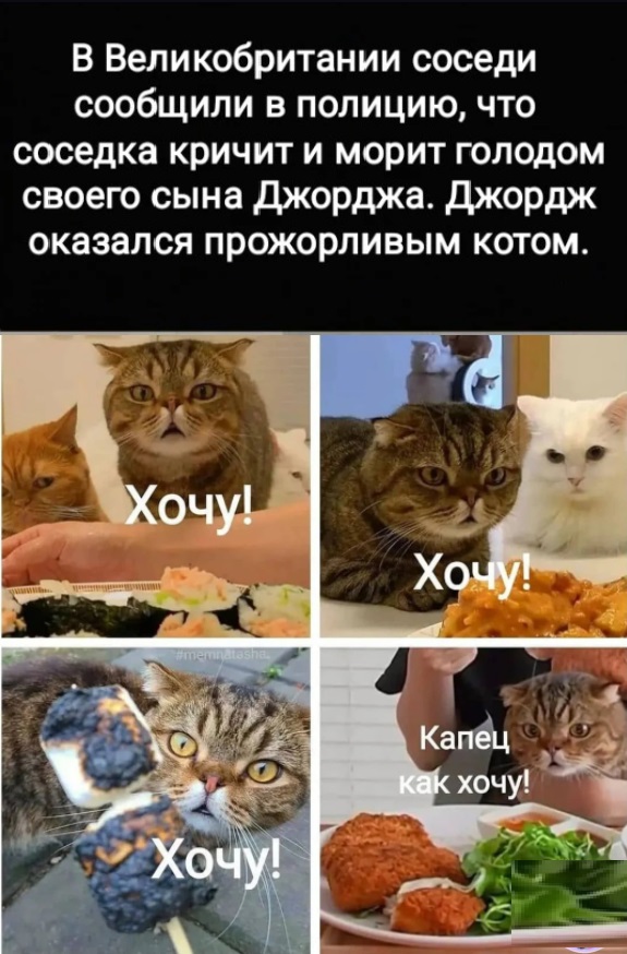 Картинки с надписями и всякие жизненные фразы