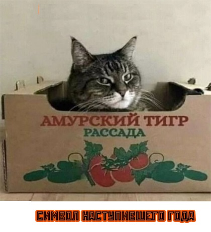 Лютой Упоротости Псто